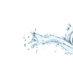 splash_bg